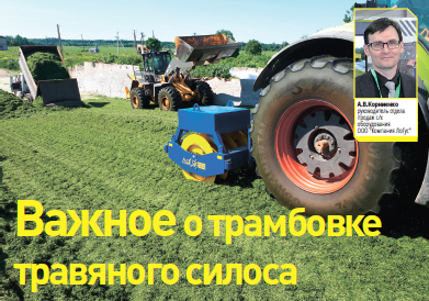 фото из статьи СХВ 2020